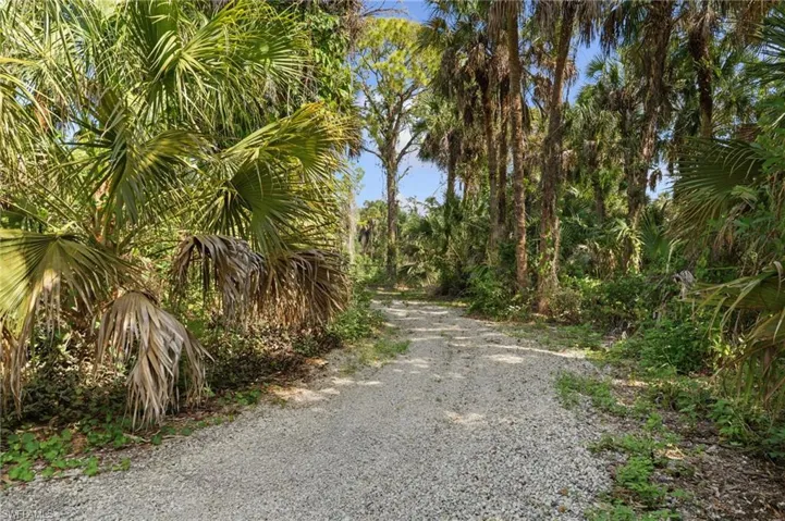 road to back of the property