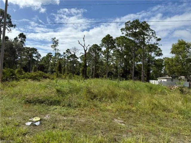 1013 Grant Blvd, Lehigh Acres, Florida 33974