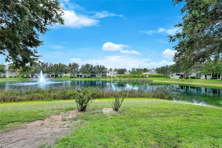 Lake Views