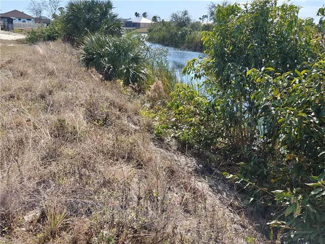 View of local wilderness with a water view