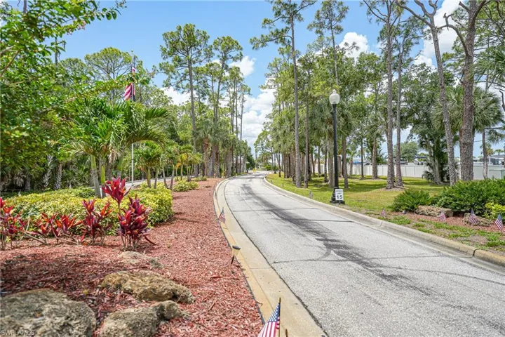 Paved roadway bordered by mature trees and lush landscaping