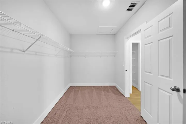 Spacious closet featuring white wire shelving, light brown carpeting, white baseboards, and a paneled door