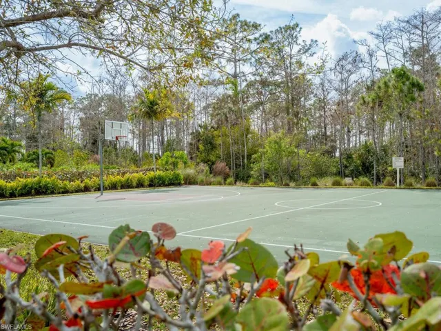 View of sport court