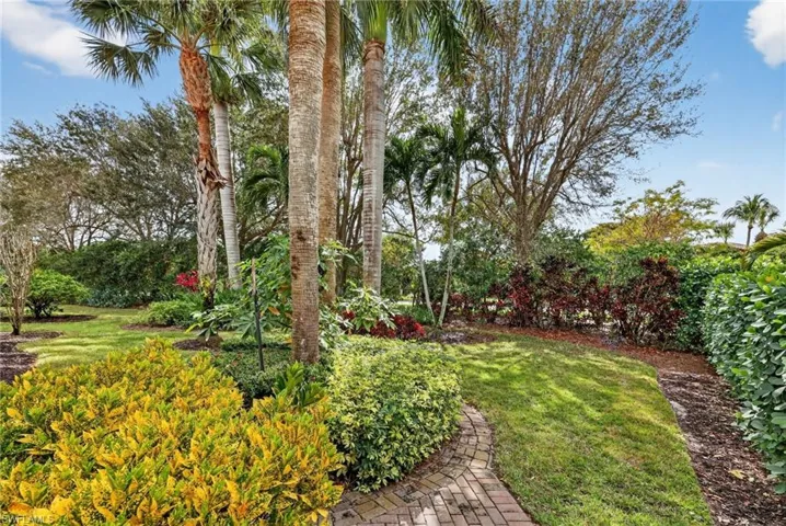 View of Backyard
