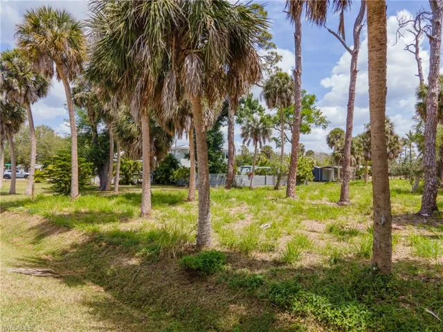 Lush, undeveloped lot featuring numerous mature palm trees and natural ground cover