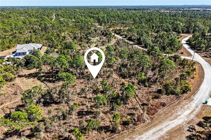 Bird's eye view of a forest