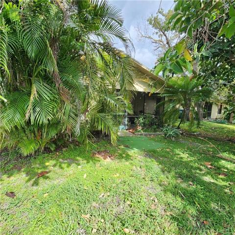 Large Shady back yard