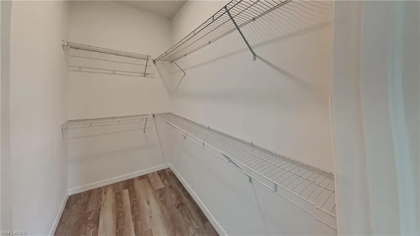 Spacious closet featuring light wood finished floors