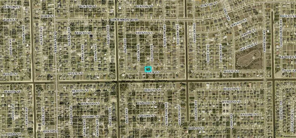 1003 Alido Ave, Lehigh Acres, Florida 33971
