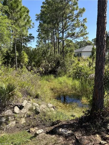 This Home Backs Up On The End Of A Canal And A Greenspace Area! You Will Never Have A Home Directly Behind This Home!