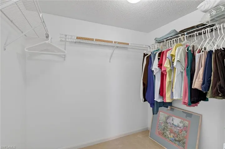 Spacious closet with light carpet