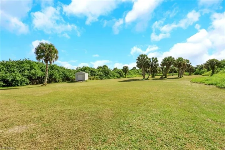 View of green lawn with a storage shed