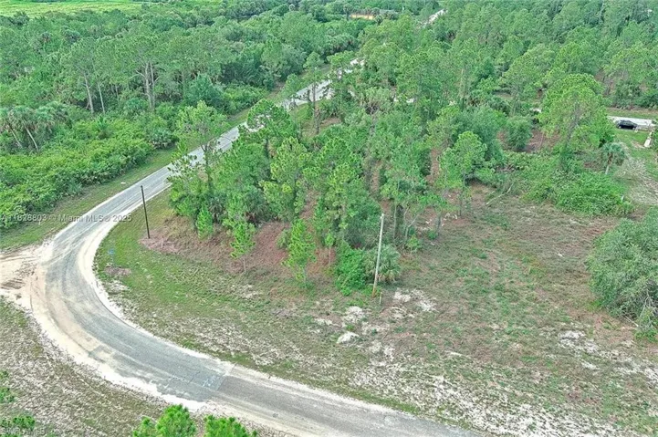 Aerial view of property and surrounding area with a forest