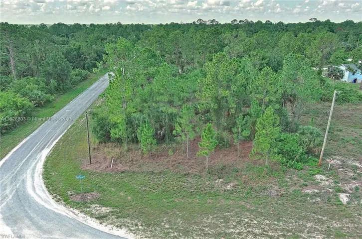 Aerial view of property's location featuring a forest