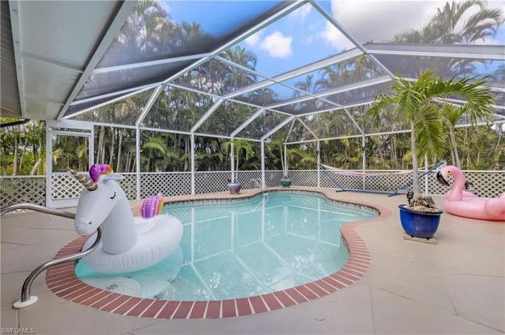 Screened-In Pool area