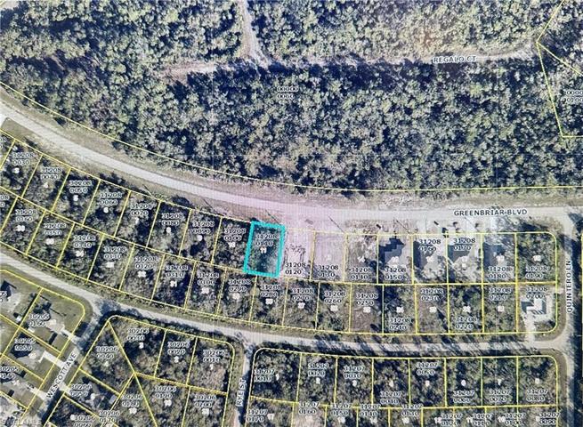 541 Greenbriar BLVD, LEHIGH ACRES FL 33972