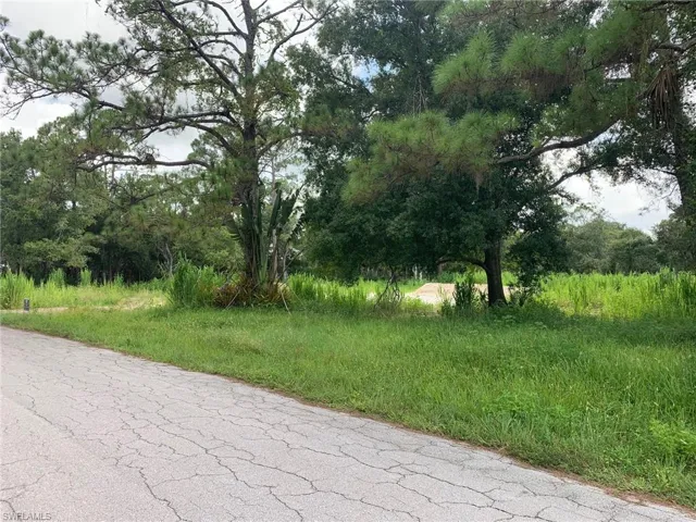 View of road