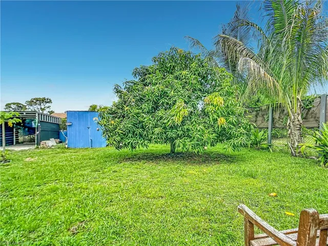 Expansive green lawn with mature tree, palm tree, and a blue shed in the background