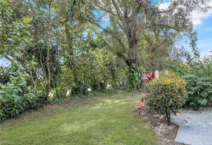 View of backyard