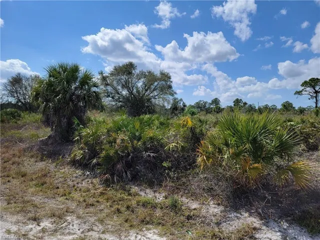View of undeveloped land