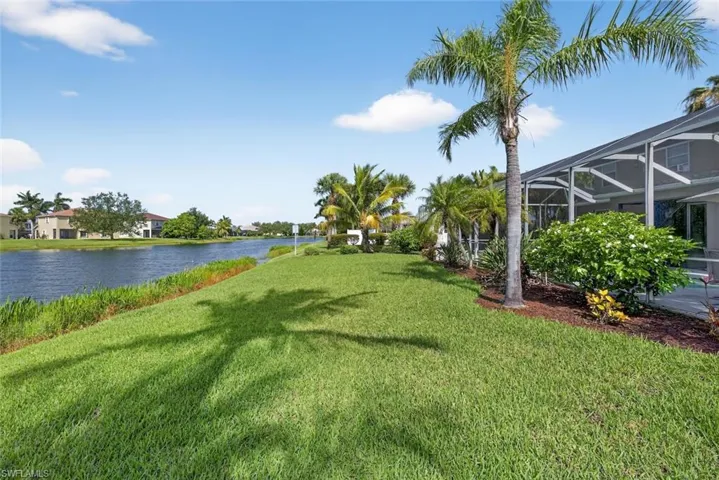 View of backyard