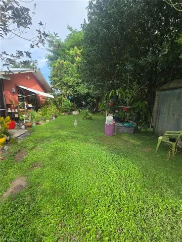 View of grassy yard