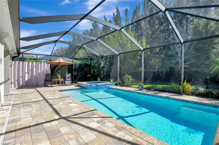 Pool and Back Yard area