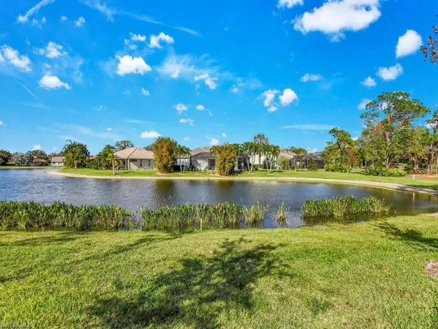 Peaceful Lake View