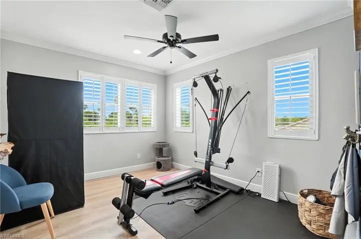 Workout room featuring crown molding, ceiling fan, and light wood-style floors