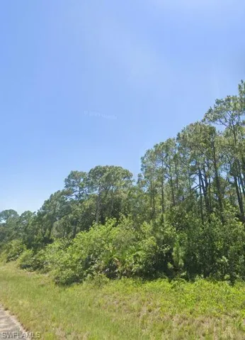 View of local wilderness