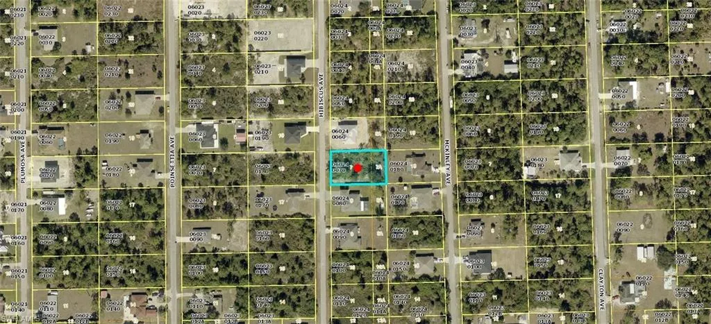 910 Hibiscus Ave, Lehigh Acres, Florida 33972