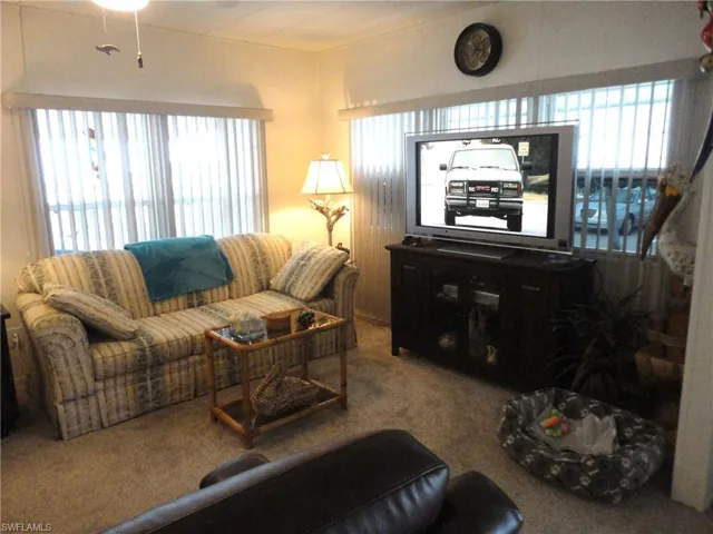 Carpeted living room featuring a wealth of natural light