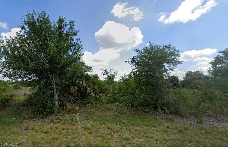 View of nature