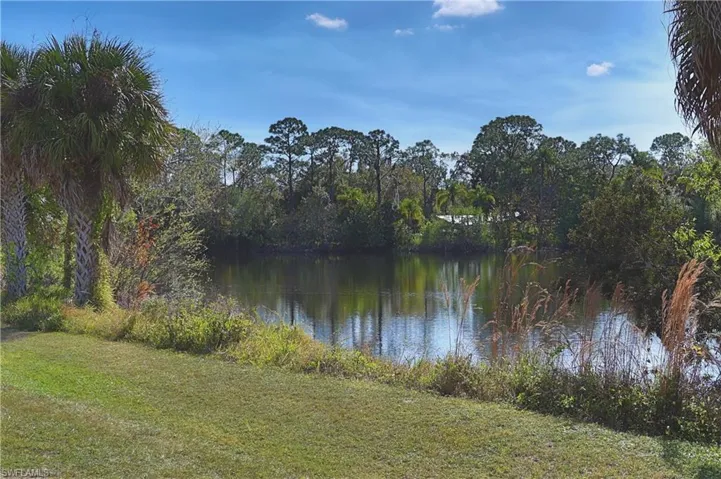 Tranquil water feature bordered by mature trees and native foliage
