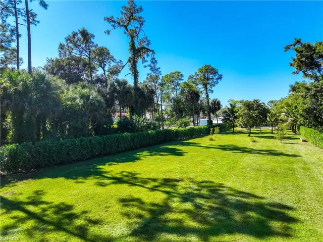 View of green lawn