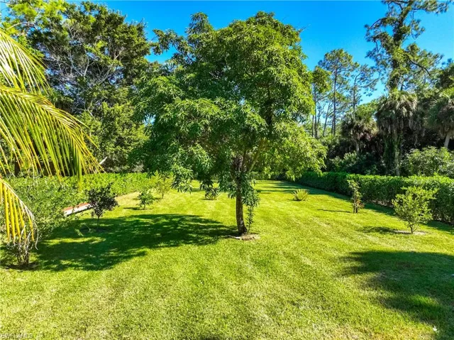 View of grassy yard