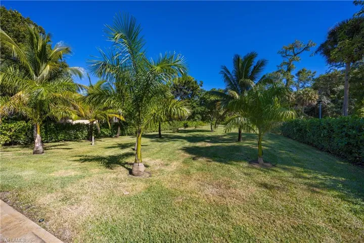 View of grassy yard