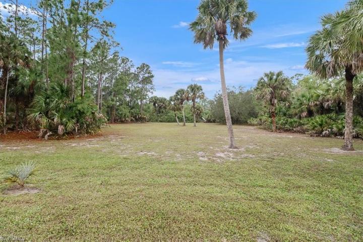 Large Backyard with many potential options