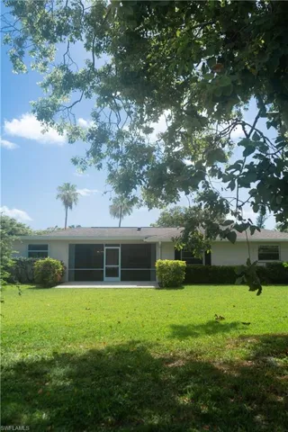 Back yard