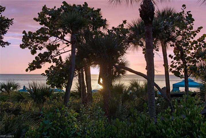 Watch the sunset