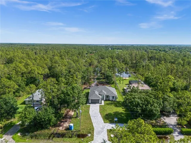 Drone / aerial view of a forest