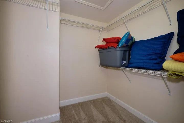 Walk in closet with light colored carpet
