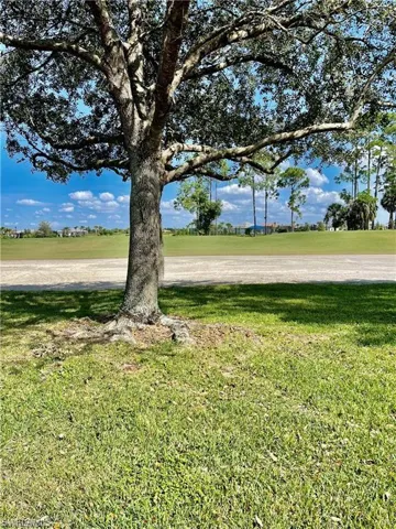 View of green lawn