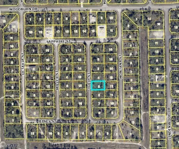1850  Tulip  ST, Lehigh Acres, FL 33972