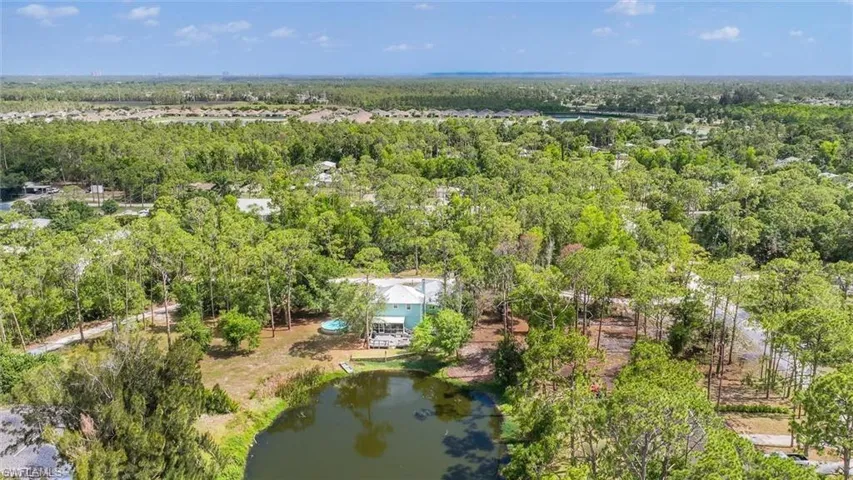 Drone / aerial view of a large body of water and a forest