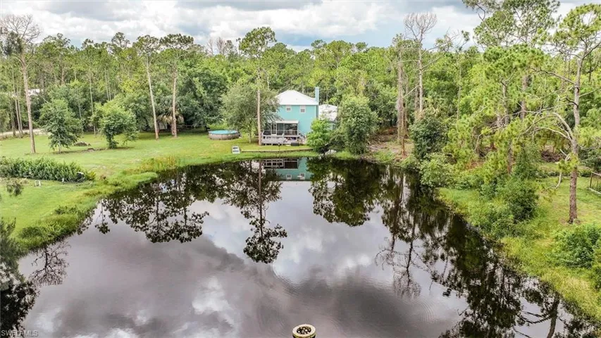 Water view with a forest