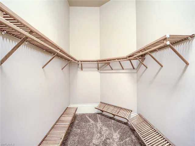 Walk in closet with carpet floors