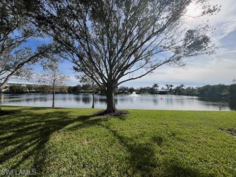 beautiful lake view