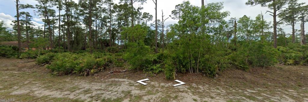 117  Louis  AVE, Lehigh Acres, FL 33936