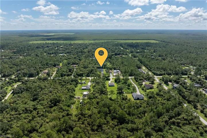 Aerial view of a forest